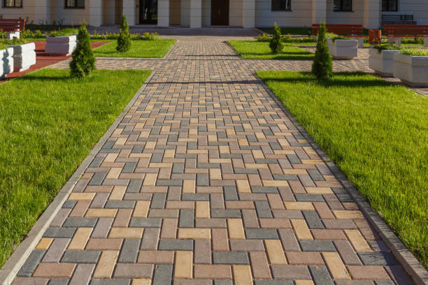 Best Driveway Paving Contractor  in Wells Branch, TX